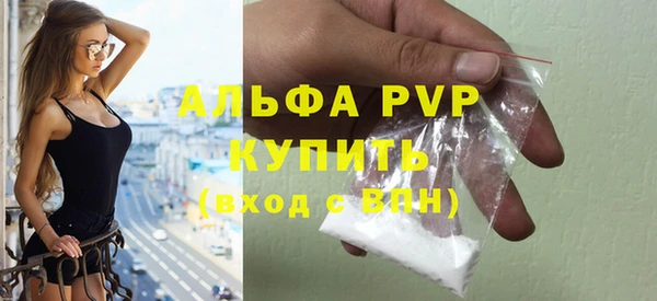 стаф Ладушкин