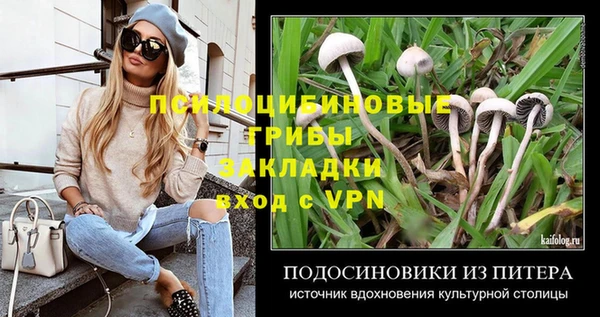 кокс Лабытнанги